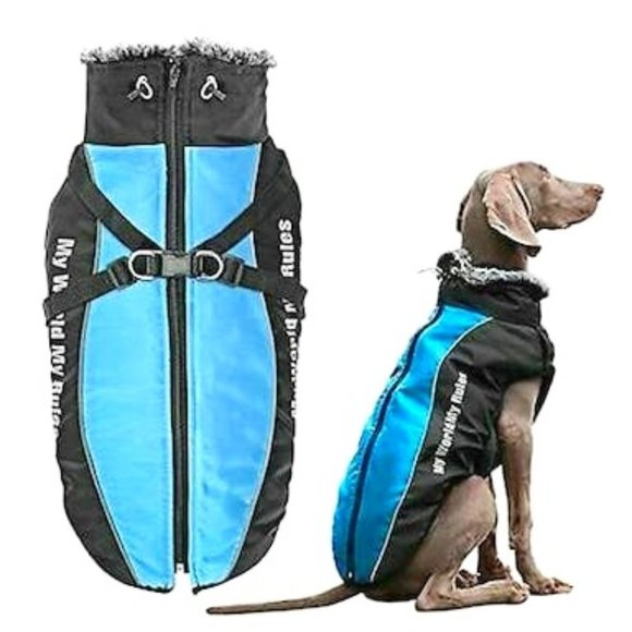 DIDOG Waterproof Dog Winter Jackets, Cold Weather Dog Coats With Harness and Fur - Picture 1 of 1
